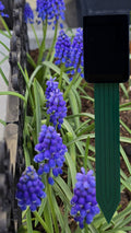 AG-MOISTURE [AG-MO] - AgroGlide™ Moisture Sensor Decoder